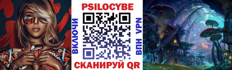 Псилоцибиновые грибы Psilocybe  Курск 
